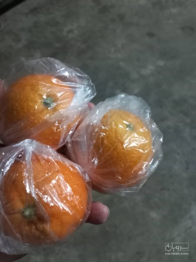 فروش پرتقال والنسیا