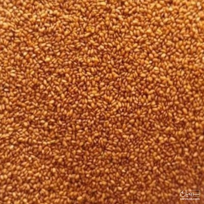 فروش خاکشیر ارگانیک