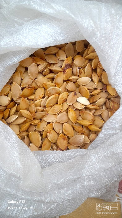 فروش هسته زردآلو