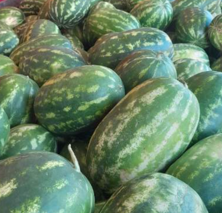 فروش هندوانه