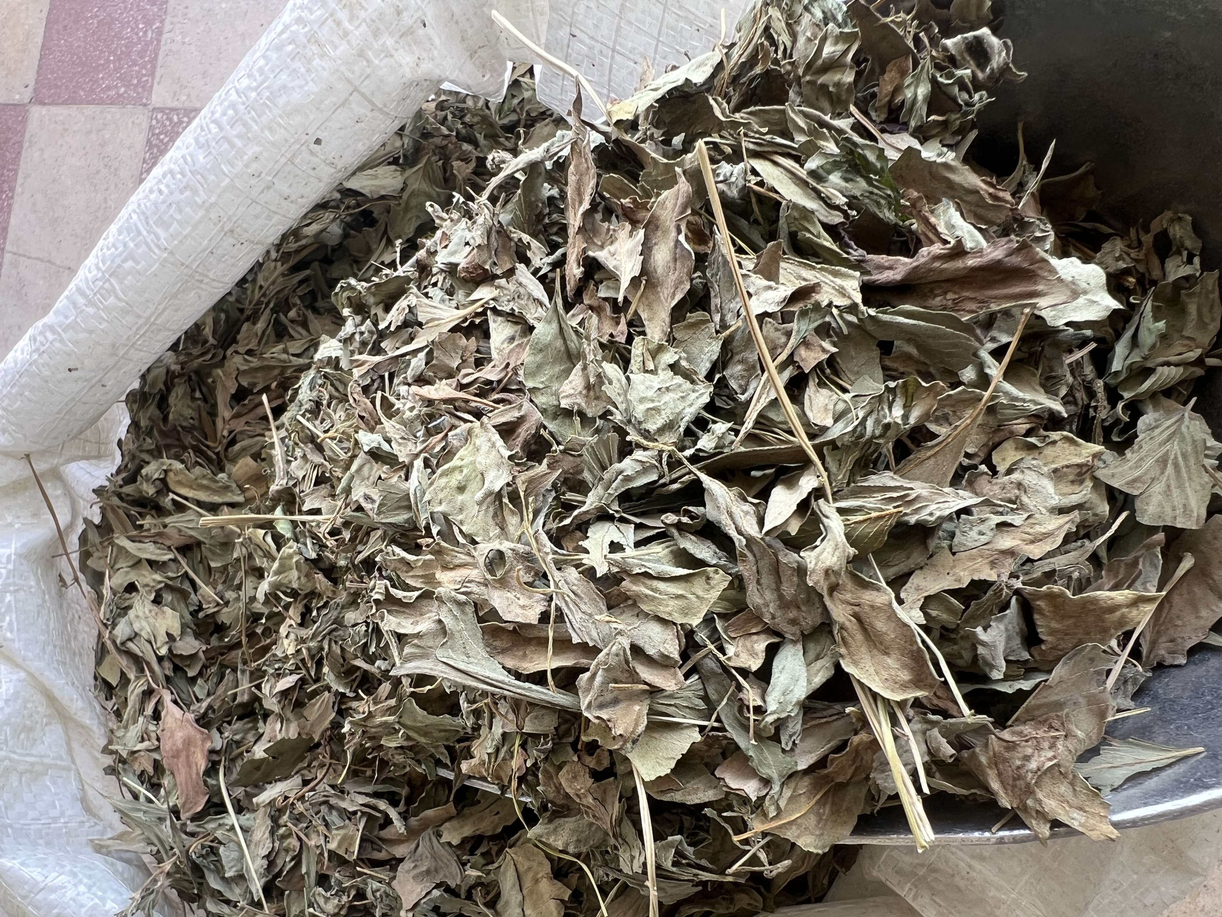 فروش ریحان