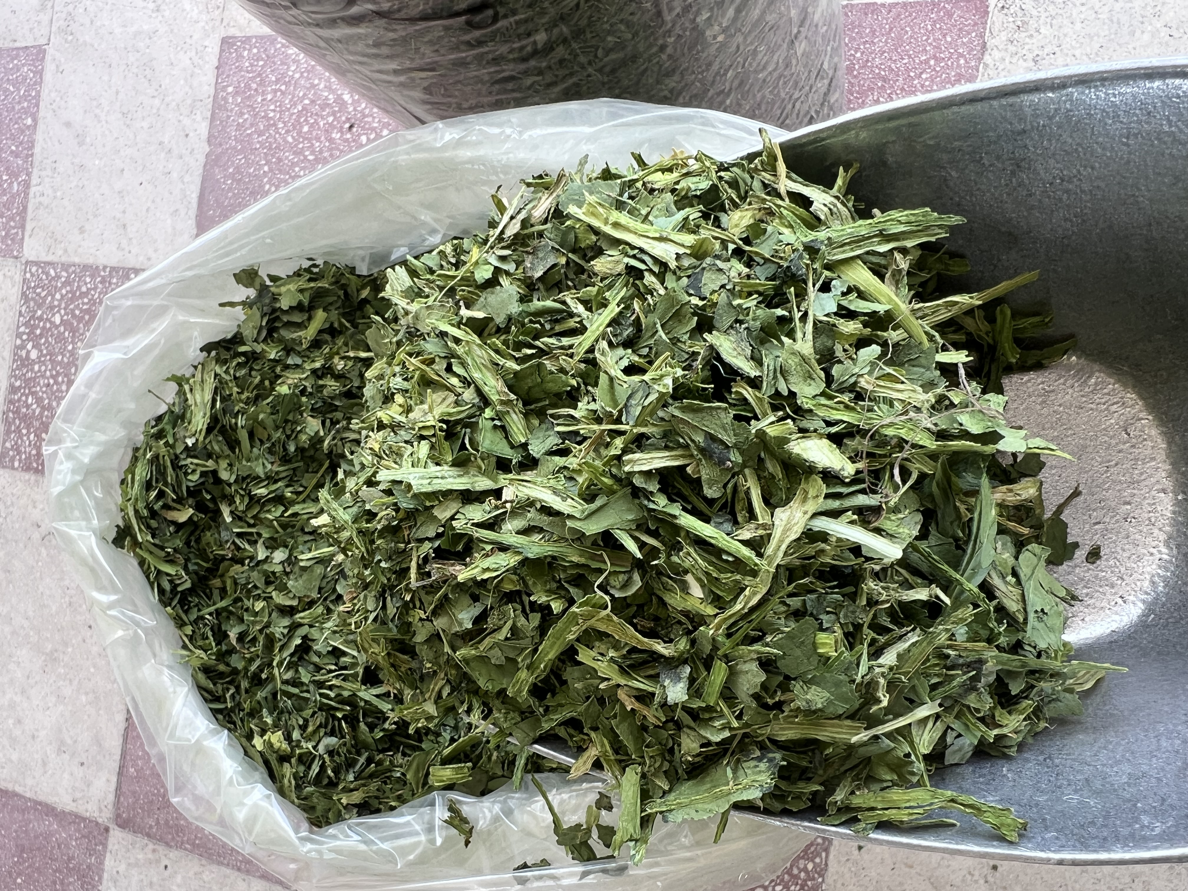 فروش اسفناج