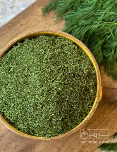 فروش شوید خشک (گیاه‌ دارویی)