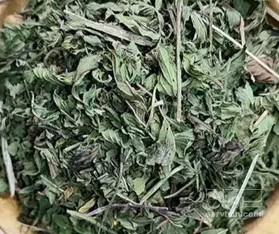 فروش پونه (گیاه‌ دارویی)