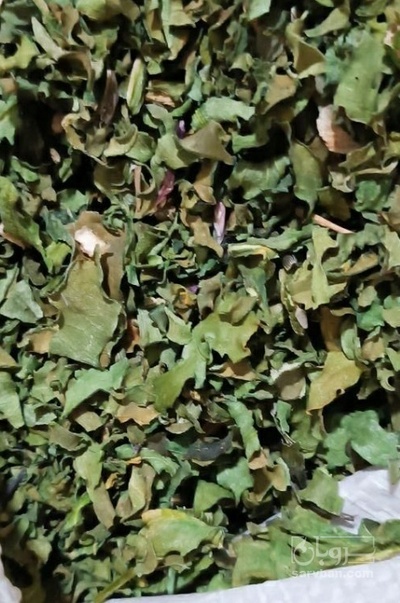 فروش تره خشک
