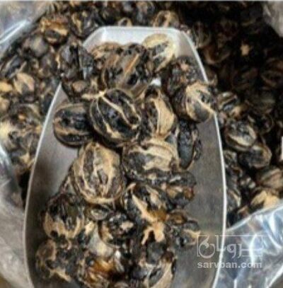 فروش لیمو عمانی (گیاه‌ دارویی)