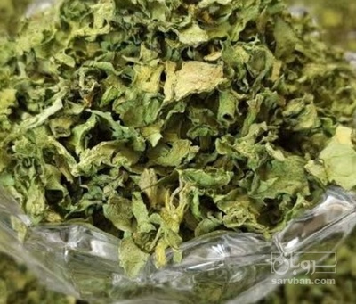 فروش ترخون (گیاه‌ دارویی)