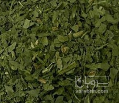 فروش اسفناج خشک