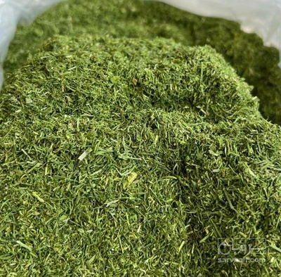 فروش شوید خشک  بلغور(گیاه‌ دارویی)