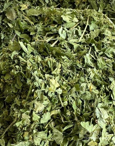 فروش مرزه (گیاه‌ دارویی)