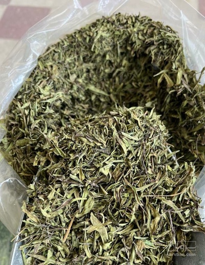 فروش ریحان (گیاه‌ دارویی)