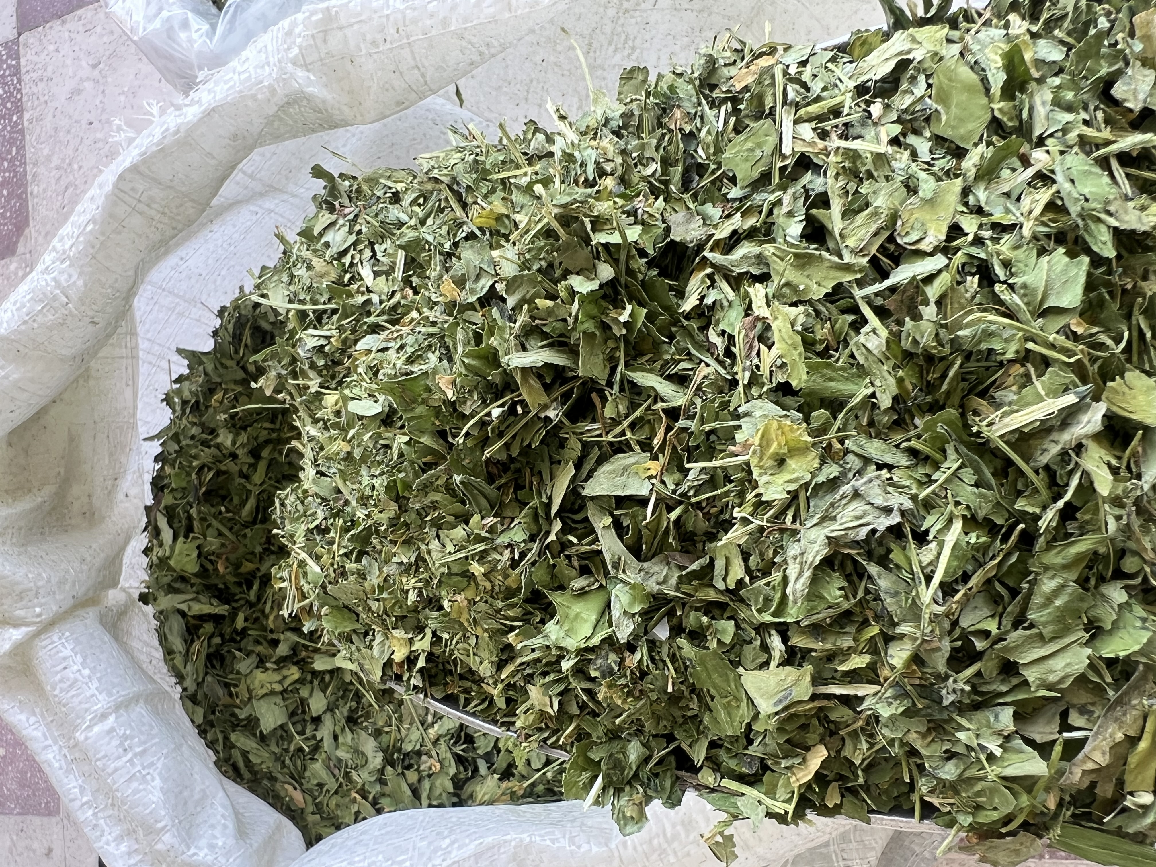 فروش شنبلیله
