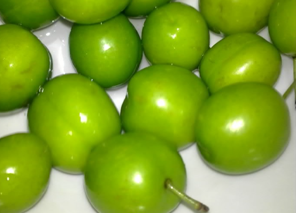 فروش گوجه سبز خوش خوراک