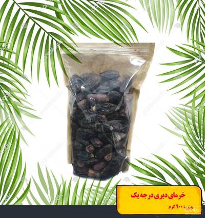 فروش خرما دیری