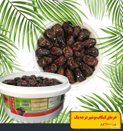 فروش خرما کبکاب