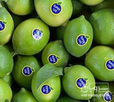 فروش لیموترش