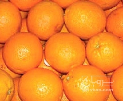 فروش پرتقال واکسی