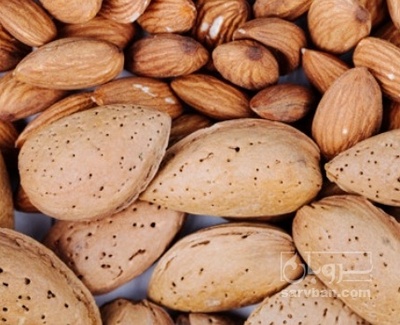 فروش بادام مامایی