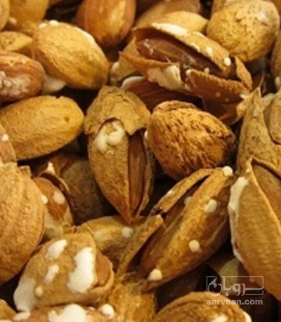 فروش بادام درختی منقا پوست کاغذی