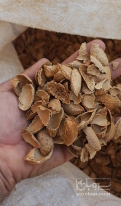 فروش پوست بادام - سنگی - سخت (گیاه‌ دارویی)