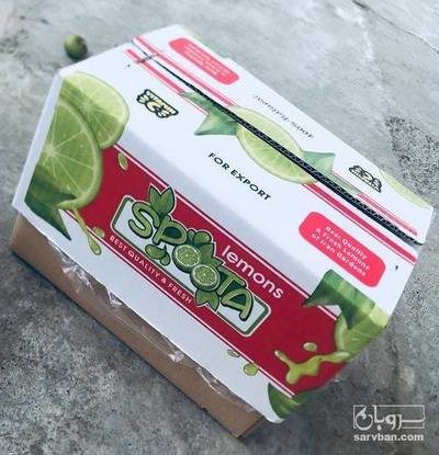 فروش لیموترش