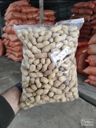 فروش بادام زمینی