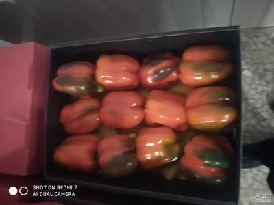 فروش فلفل دلمه ای قرمز