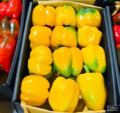 فروش فلفل دلمه ای زرد