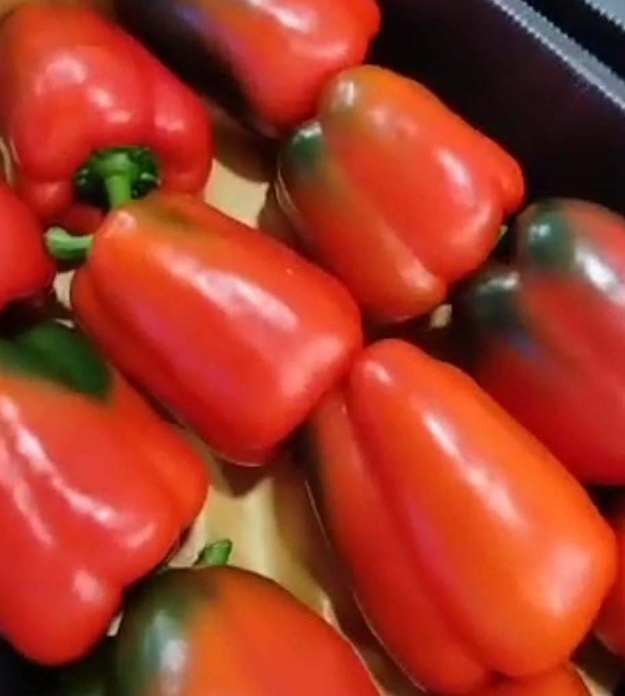 فروش فلفل دلمه ای رنگی