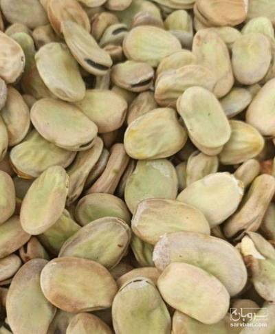 فروش باقلا خشک - باقالی - باقالا