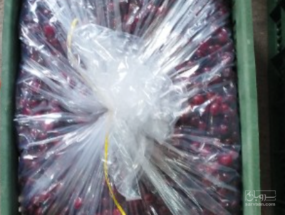 فروش آلبالو نیشابوری فریز شده