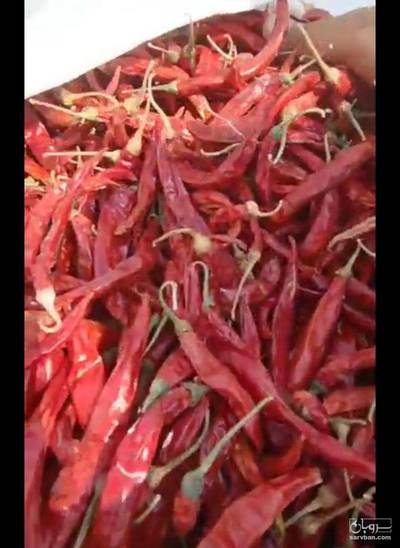 فروش فلفل تندخشک