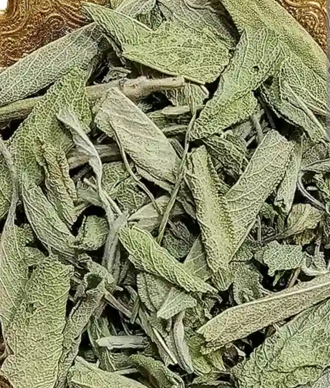 فروش مریم گلی