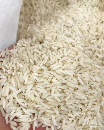 فروش برنج (مشتقات)