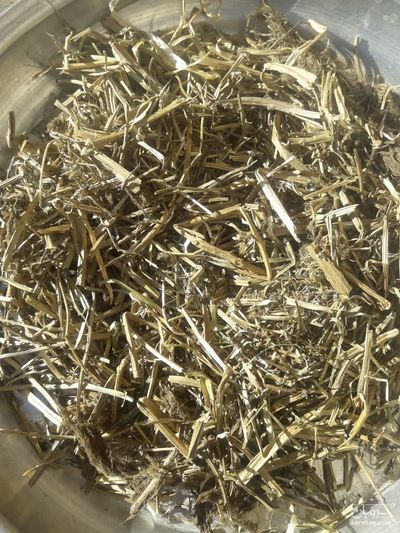 فروش بولاغ اوتی (علف چشمه)