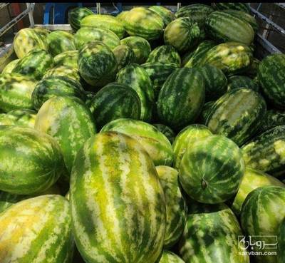 فروش هندوانه