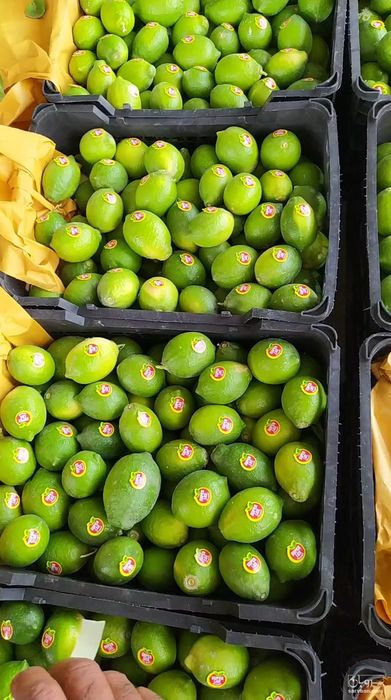 فروش لیمو سنگی