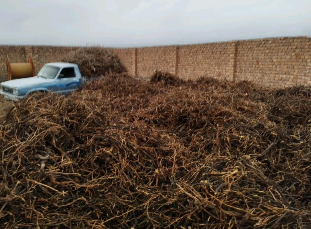 فروش  ریشه شیرین بیان