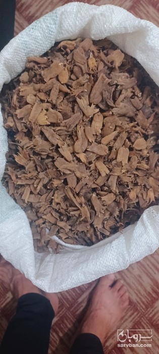 فروش ثعلب بنجه ایی