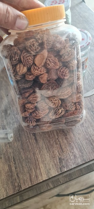 فروش هسته هلو