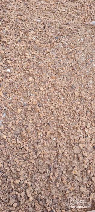 فروش ارد هسته هلو