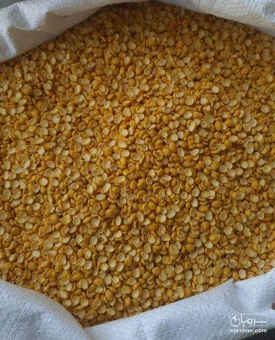 فروش نخود کفتری - لپه