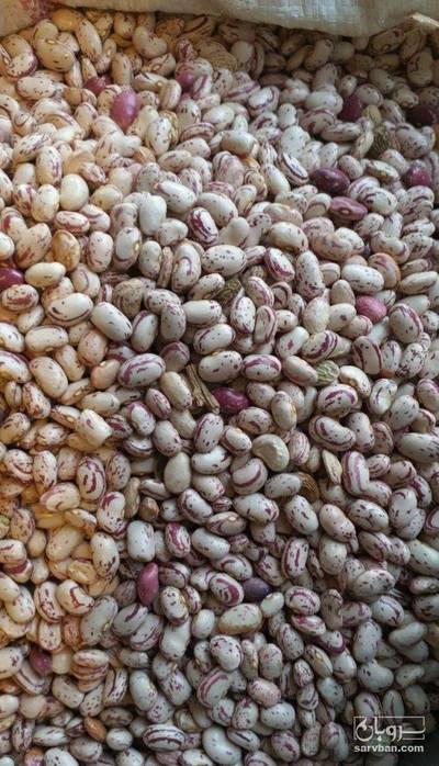 فروش لوبیا چیتی