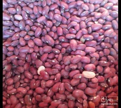 فروش لوبیا قرمز