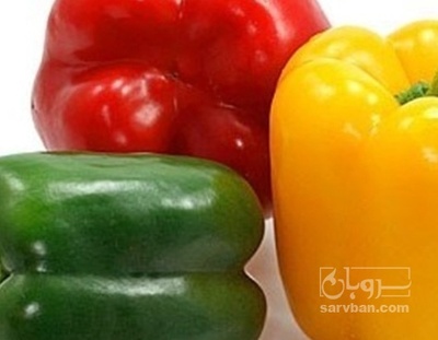 فروش فلفل دلمه ای