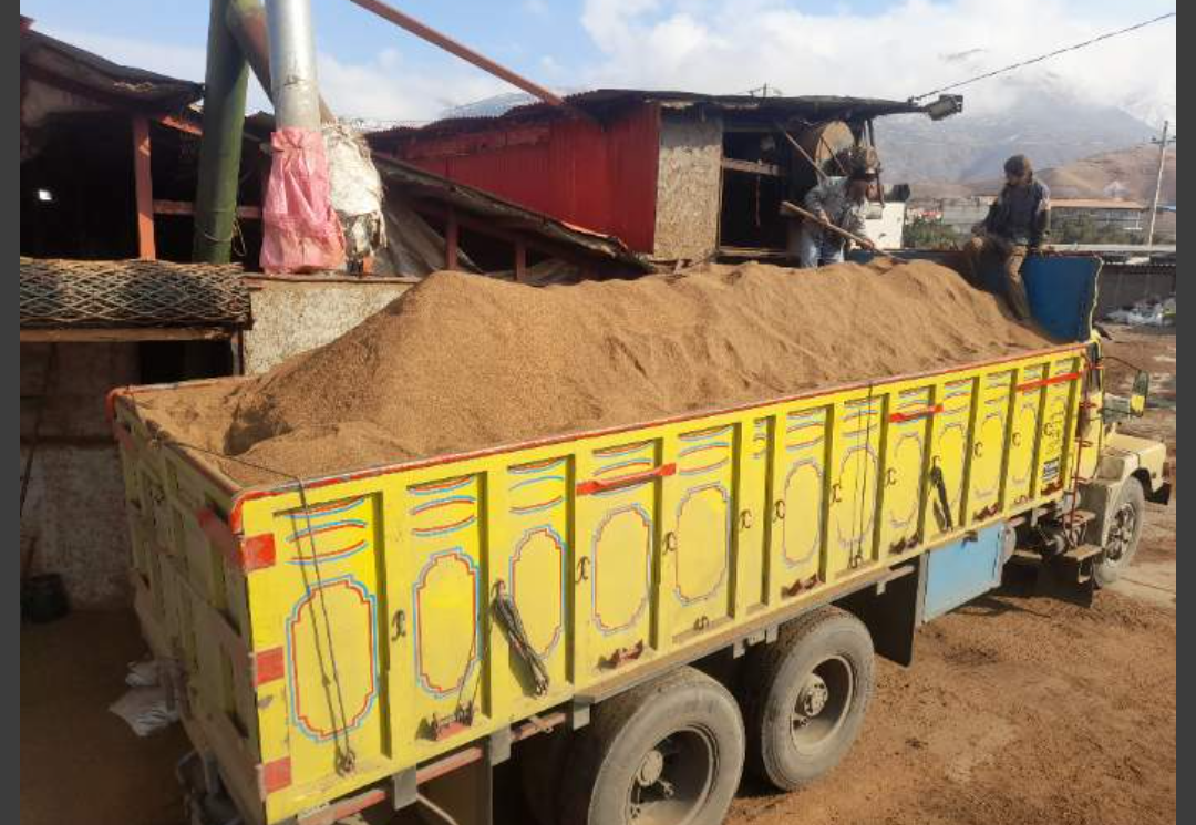 فروش کنجاله زیتون خوراک دام