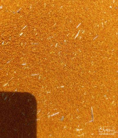 فروش خاکشیر