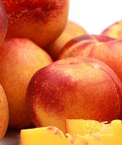 فروش شلیل شمس