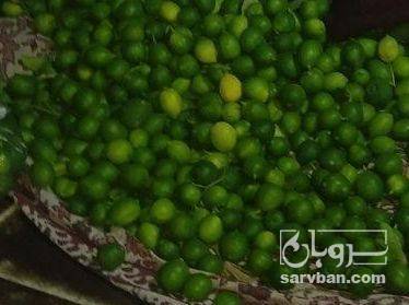 فروش لیموترش
