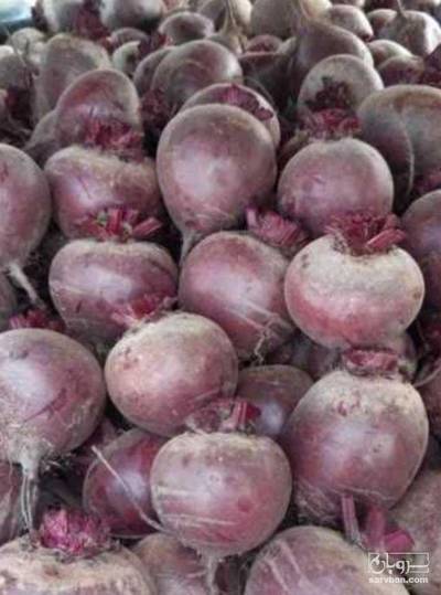 فروش چغندر لبو